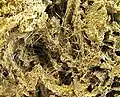Antimony ochre