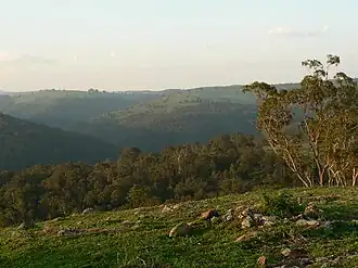 North-western view from the top of Mount Murrindal