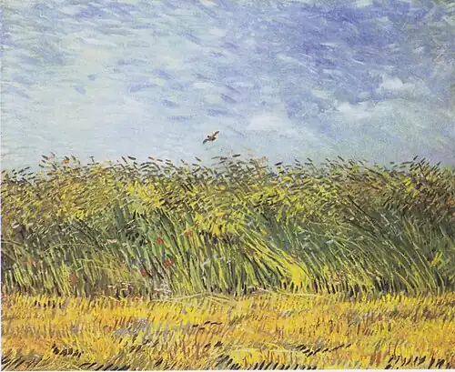 Wheat Field with a Lark, 1887, at Van Gogh Museum, Amsterdam, Netherlands (F310)