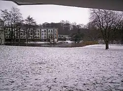 Tees Lawn in winter