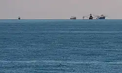 Dolphin in ocean with fishing vessels
