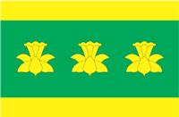 Flag of Vara Parish