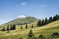 Farcău Peak, viewed from the south