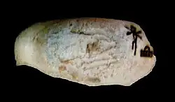 Alabaster fragment with the name of queen Neith-hotep