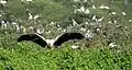 Birds at the sanctuary