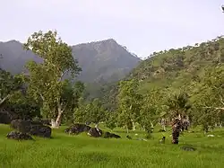 Landscape at Subau, Uma Caduac
