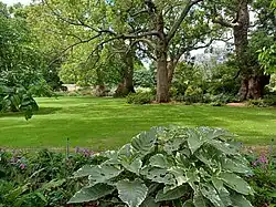 Vergelegen wine estate gardens