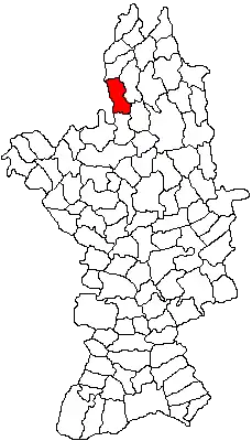 Location in Olt County
