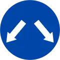 R.302c: Pass on either side