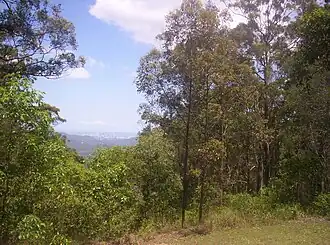 View of Brisbane city from Camp Mountain