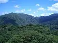 El Toro from Yokahu Tower in El Yunque