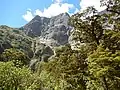 South aspect, from Mintaro Hut on the Milford Track
