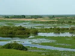 Biebrza National Park