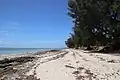 Traditional dhow boat off Vilanculos, Mozambique. Vilanculos beach Mozambique