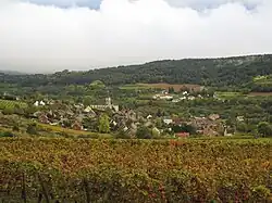 A general view of Arcenant