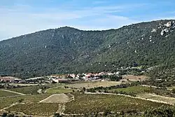 A general view of Tarerach