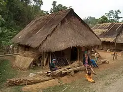 Village houses