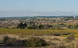 A general view of Villeveyrac