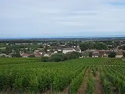 A general view of Viré