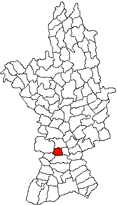 Location in Olt County