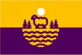 Flag of Balloërveld