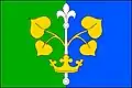 Flag of Bohaté Málkovice