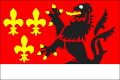 Flag of Branná