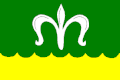 Flag of Nesvačilka