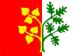 Flag of Všelibice