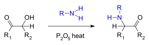 Voigt amination