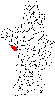 Location in Olt County