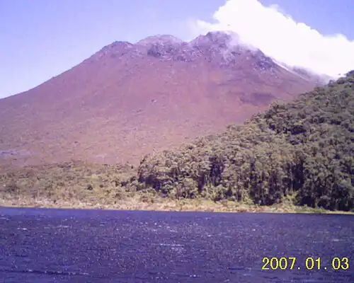 2007