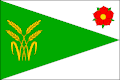 Flag of Vrábče