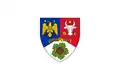 Flag of Vrancea County