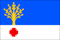 Flag of Vrbice