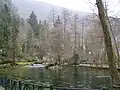 Vrelo Bosne in winter
