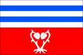 Flag of Všemyslice