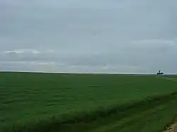 Photo d'un champ en herbe très vert, les nuages étant bas.