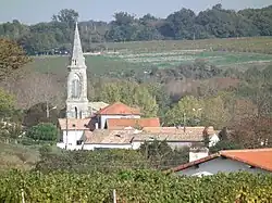 View of Barzan village