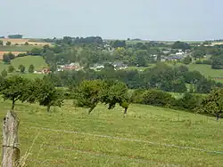A general view of Rubigny