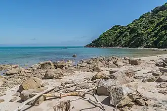 A beach covered in rocks and debris on a sunny day, with green hills to the right and ocean to the left