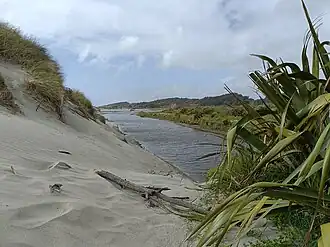 Waitohu Stream flowing through coastal dunes