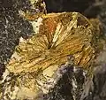 Wakabayashilite: Arsenosulphide of Arsenic and Antimony: expanse of radiating, acicular, golden crystals