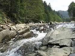 Bieszczady Mountains