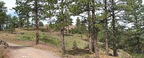 View of the ruins of Walker Castle on Mt. Falcon from Castle Trail