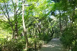 Walkway