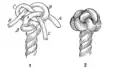 Wall crowned (unfinished "wall and crown knot")