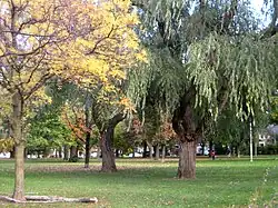 The park the neighbourhood is named for
