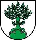 Coat of arms of Buchs