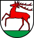 Coat of arms of Hirschthal